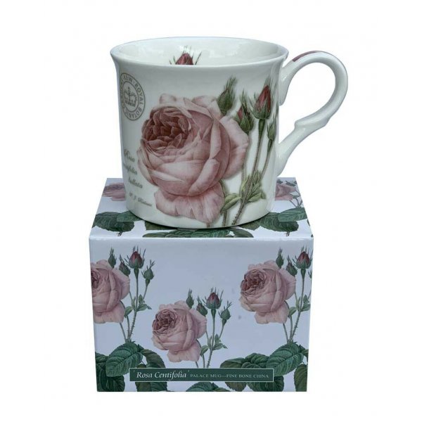 Rosa Centifoli Design Mug NEW Heritage Brand Boxed 300ml 10.5oz
