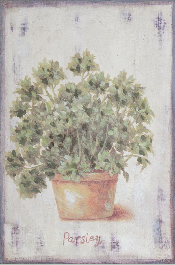 Hand finished wall art 30cm x 20cm - Parsley